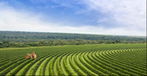 Profissões do Agro: qualificação técnica e as oportunidades em agricultura
